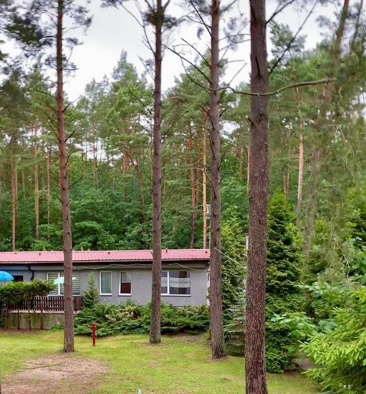Osrodek Wypoczynkowy Zakatek Villa Kąty Rybackie Eksteriør bilde